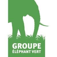 Groupe ÉLÉPHANT VERT