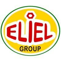Eliel Group