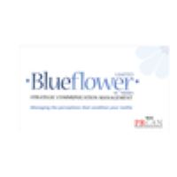 Blueflower Limited