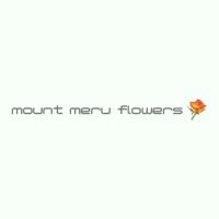 mount meru flowers ltd