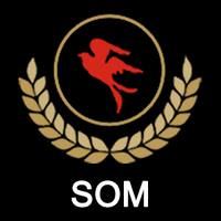 Som Distilleries & Breweries Ltd