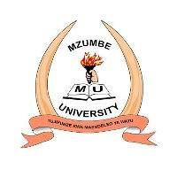 Mzumbe University