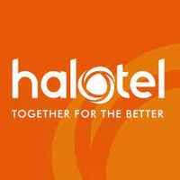 Viettel Tanzania Plc (Halotel)