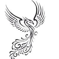 Phoenix Global Capital Markets Limited.