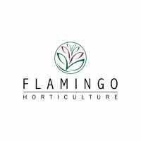 Flamingo Horticulture