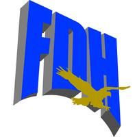 FDH Financial Holdings Limited