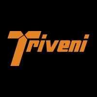 Triveni Engineering & Industries Ltd