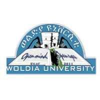 Woldia University