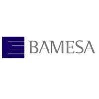 Bamesa