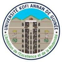 Université Kofi Annan de Guinée