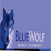 Bluewolf Africa