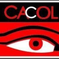 Centre for Anti-corruption and Open leadership - CACOL-