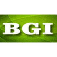 BGI Resources Ltd