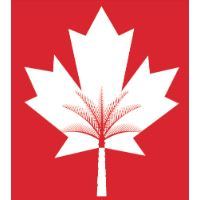 Canadian University Dubai