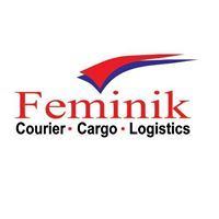Feminik Logistics Nig Ltd