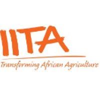 International Institute of Tropical Agriculture (IITA)