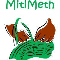 MitiMeth