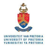 University of Pretoria