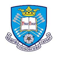 University of Sheffield